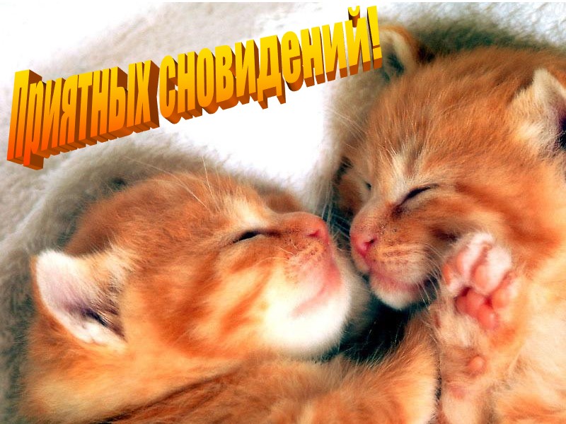 Приятных сновидений!